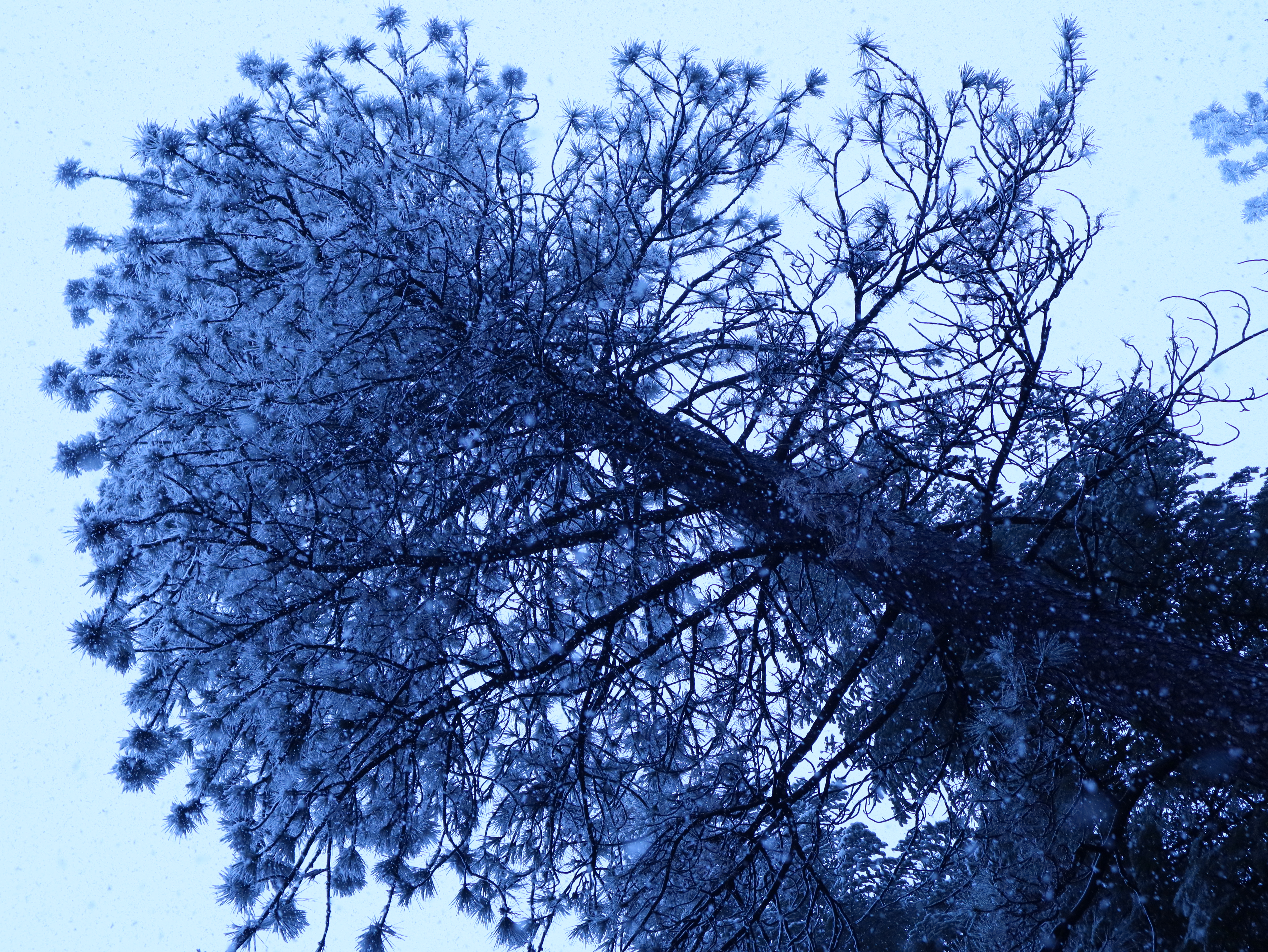 2025-03-03 03.03.25