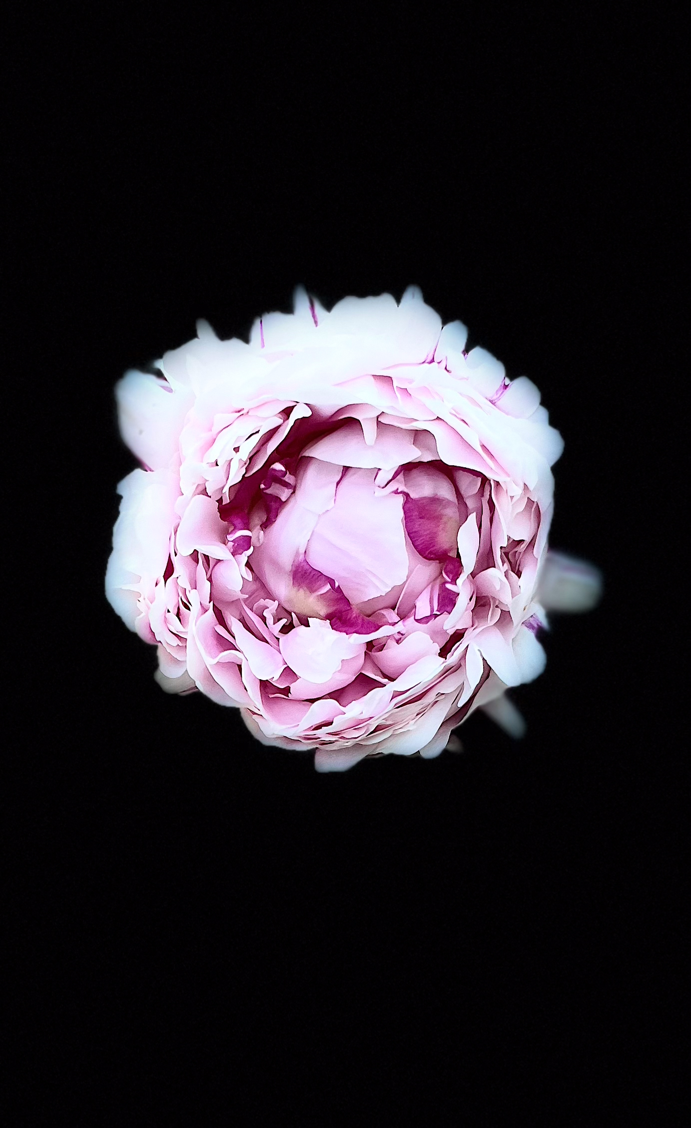 2025-05-10 18.23.30_1