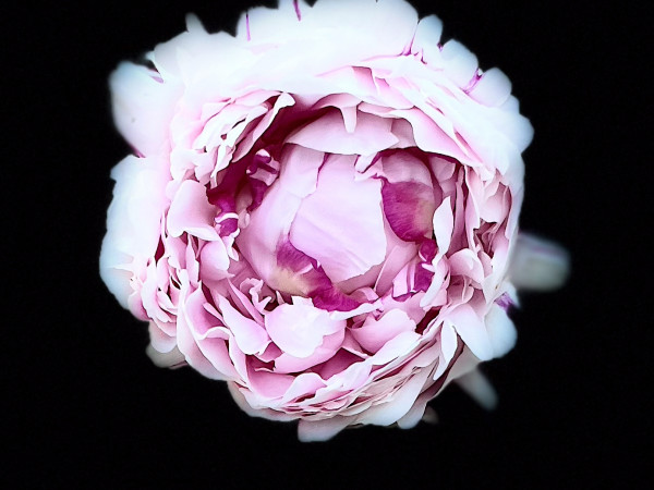 2025-05-10 18.23.30_1