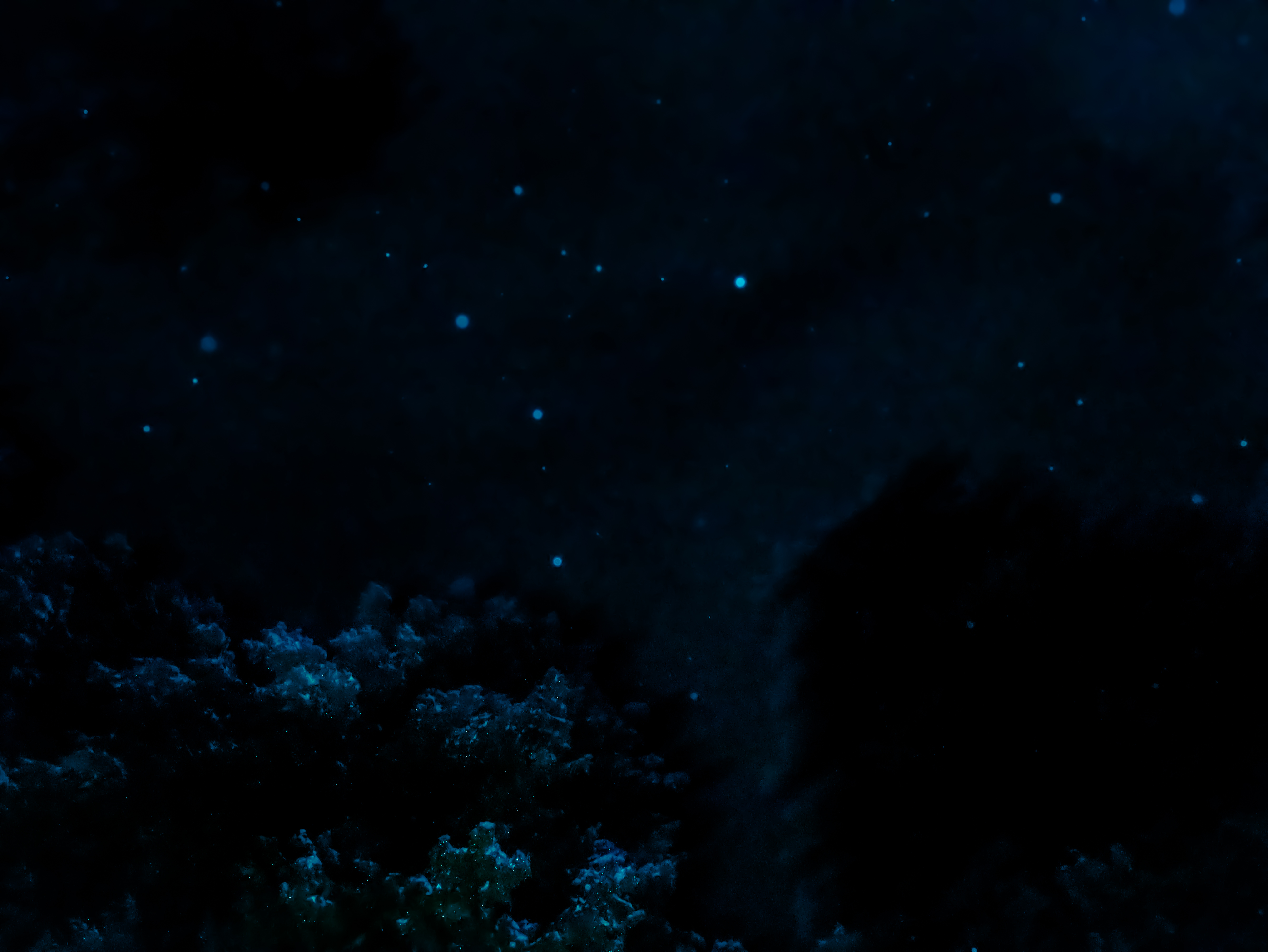 Snowflake Constellations
